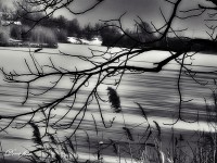 /album/nature/a312611-352714184826133-332697640-n-jpg1/