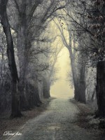 /album/nature/a399294-352703764827175-131698792-n-jpg/