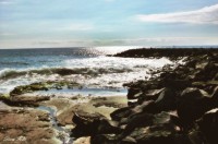 /album/nature/a1535717-536887523075464-1750370006-n-jpg/