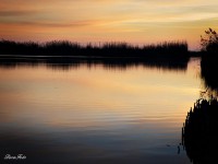 /album/nature/a1378249-495992923831591-124778344-n-jpg/