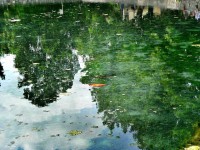 /album/nature/a10603212-640963336001215-315026324684268703-n-jpg/