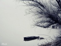 /album/nature/a281659-352710361493182-99115495-n-jpg1/