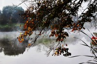 /album/nature/img-0295-jpg1/