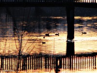 /album/nature/img-6660-jpg/