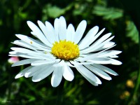 /album/nature/dscf1099-jpg/