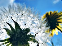 /album/a-termeszet-kincsei/dscf1016-jpg/