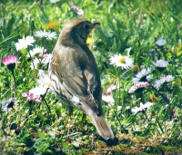 /album/a-termeszet-kincsei/dscf1022-jpg/