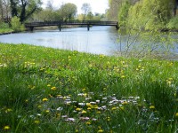 /album/a-termeszet-kincsei/dscf1026-jpg/