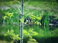 /album/a-termeszet-kincsei/dscf1041-jpg/