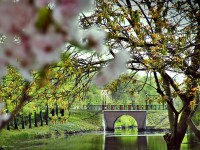 /album/a-termeszet-kincsei/dscf1052-jpg/