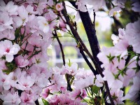 /album/a-termeszet-kincsei/dscf1053-jpg/