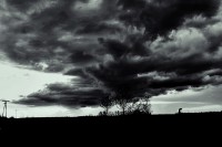 /album/a-termeszet-kincsei/img-9263-jpg/