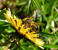 /album/a-termeszet-kincsei/dscf1065-jpg1/