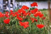 /album/a-termeszet-kincsei/img-3314-jpg/