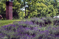 /album/a-termeszet-kincsei/img-3351-jpg/