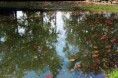 /album/fenykepgaleria/img-9528-jpg/
