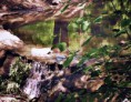 /album/fenykepgaleria/a1613891-536897279741155-465895119-n-jpg/