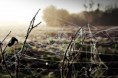 /album/fenykepgaleria/ght6-jpg/