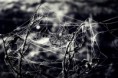 /album/fenykepgaleria/img-8945-jpg/