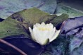 /album/fenykepgaleria/img-8538-jpg/