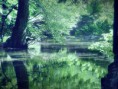 /album/fenykepgaleria/a1002379-545665915530958-970582925-n-jpg/