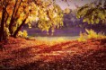 /album/fenykepgaleria/a1396022-491403404290543-1203795263-n-jpg1/