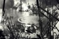 /album/fenykepgaleria/img-0353-jpg/