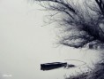 /album/fenykepgaleria/a281659-352710361493182-99115495-n-jpg/